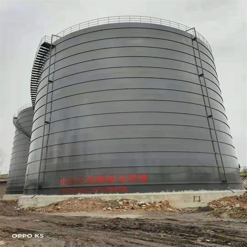 隆回3万吨大型钢板库