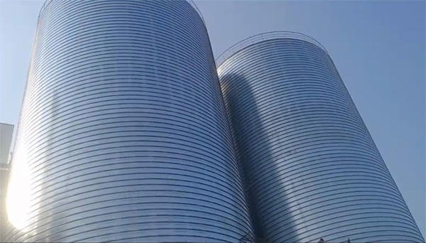 隆回2座混凝土高架卷板仓